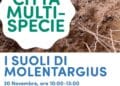 Cagliari esplora i suoli di Molentargius, terza passeggiata del ciclo “La Città Multispecie”